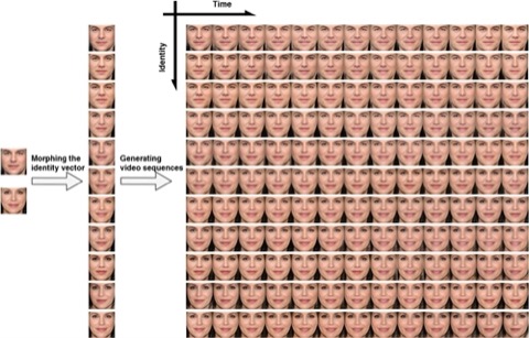 Coherence and Identity Learning for Arbitrary-length Face Video Generation